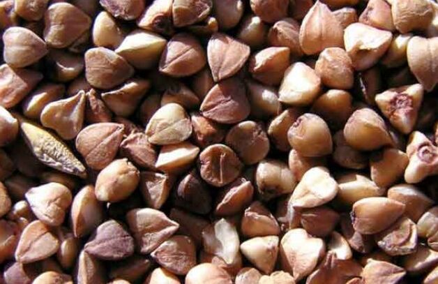 Karabuğday yadro